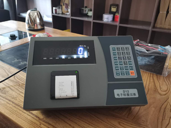 周口鄲城錦晨置業(yè)16m-100噸地磅