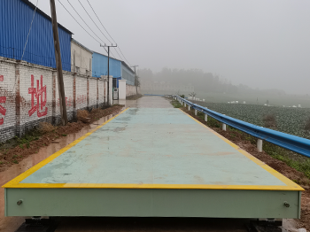 宜陽(yáng)縣本真農(nóng)業(yè)開(kāi)發(fā)公司100噸地磅