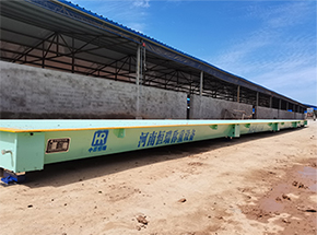 洛陽市（宜陽）新利豪農(nóng)牧有限公司100噸地磅