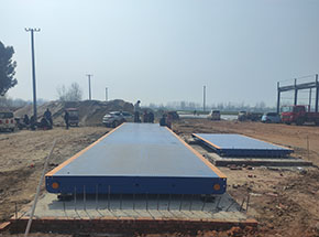 周口鹿邑縣雨欣種植合作社100噸2臺地磅